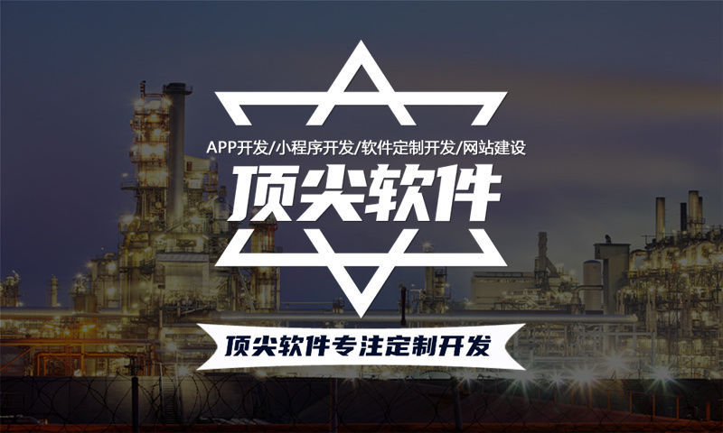 重庆政务系统开发解决方案与功能计划书