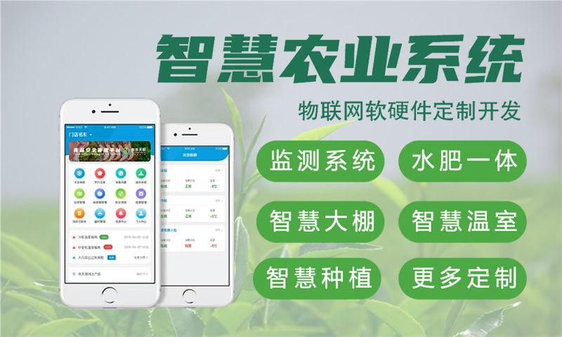 杭州单片机解决方案与功能计划书—涵盖STM32、ESP8266等开发