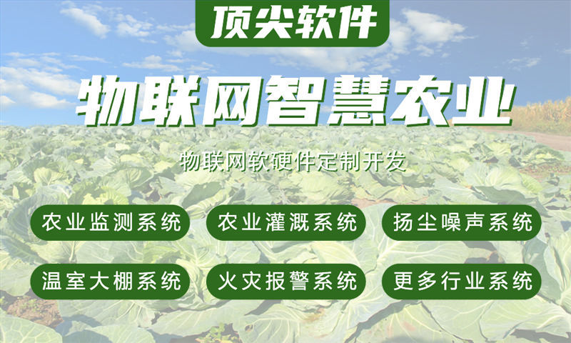 南通物联网系统开发解决方案|多功能检测物联网系统功能计划书