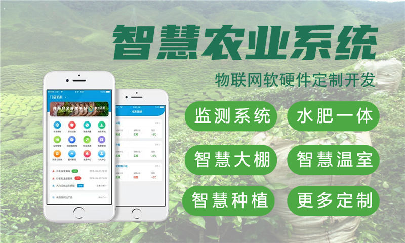杭州单片机开发解决方案：基于STM32、ESP32、4G/Cat1模组与LuatOS的多功能物联网系统功能计划书